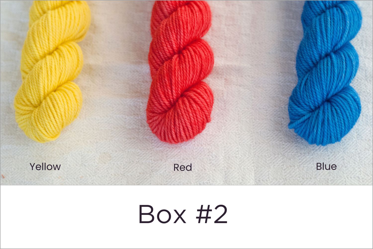 BFL - Colour Wheel Adventures (Pre-order)