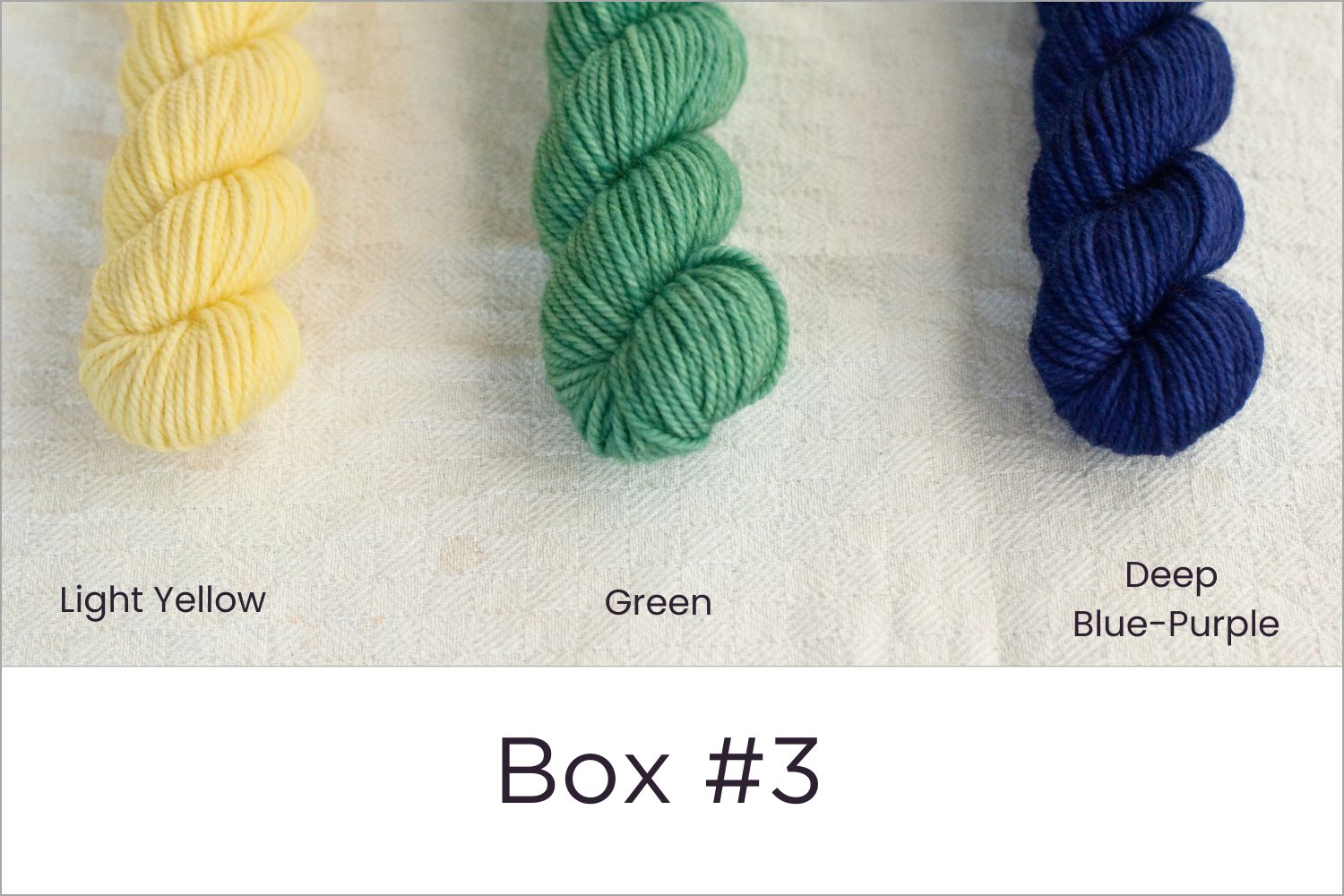 BFL - Colour Wheel Adventures (Pre-order)