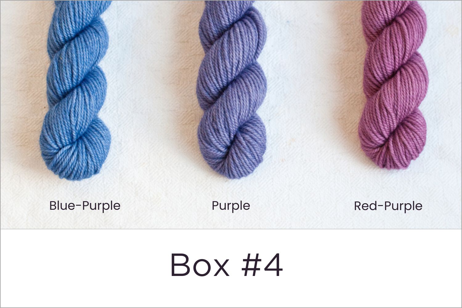 BFL - Colour Wheel Adventures (Pre-order)