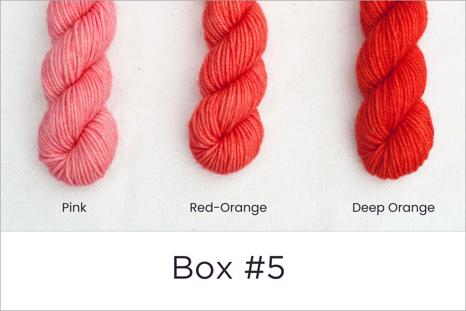 BFL - Colour Wheel Adventures (Pre-order)