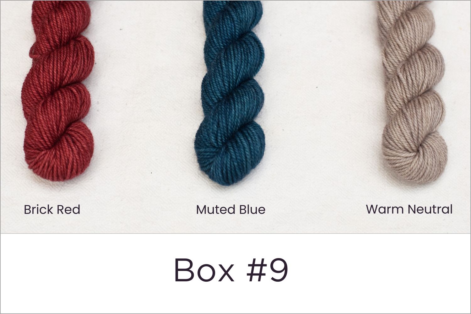 BFL - Colour Wheel Adventures (Pre-order)