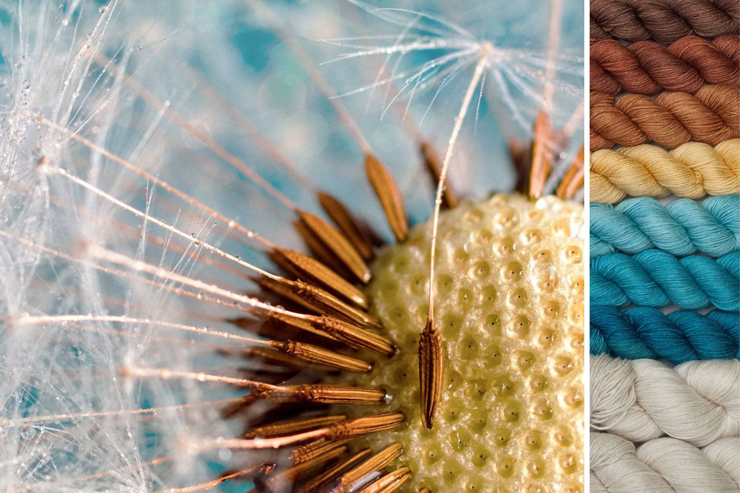 Dandelion: Cosmic Connections MKAL Set