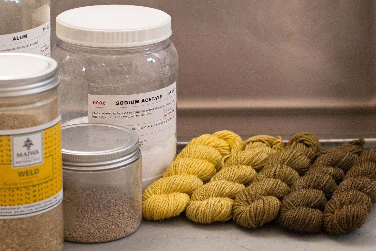 Natural Gradient Dyeing - Dec 1