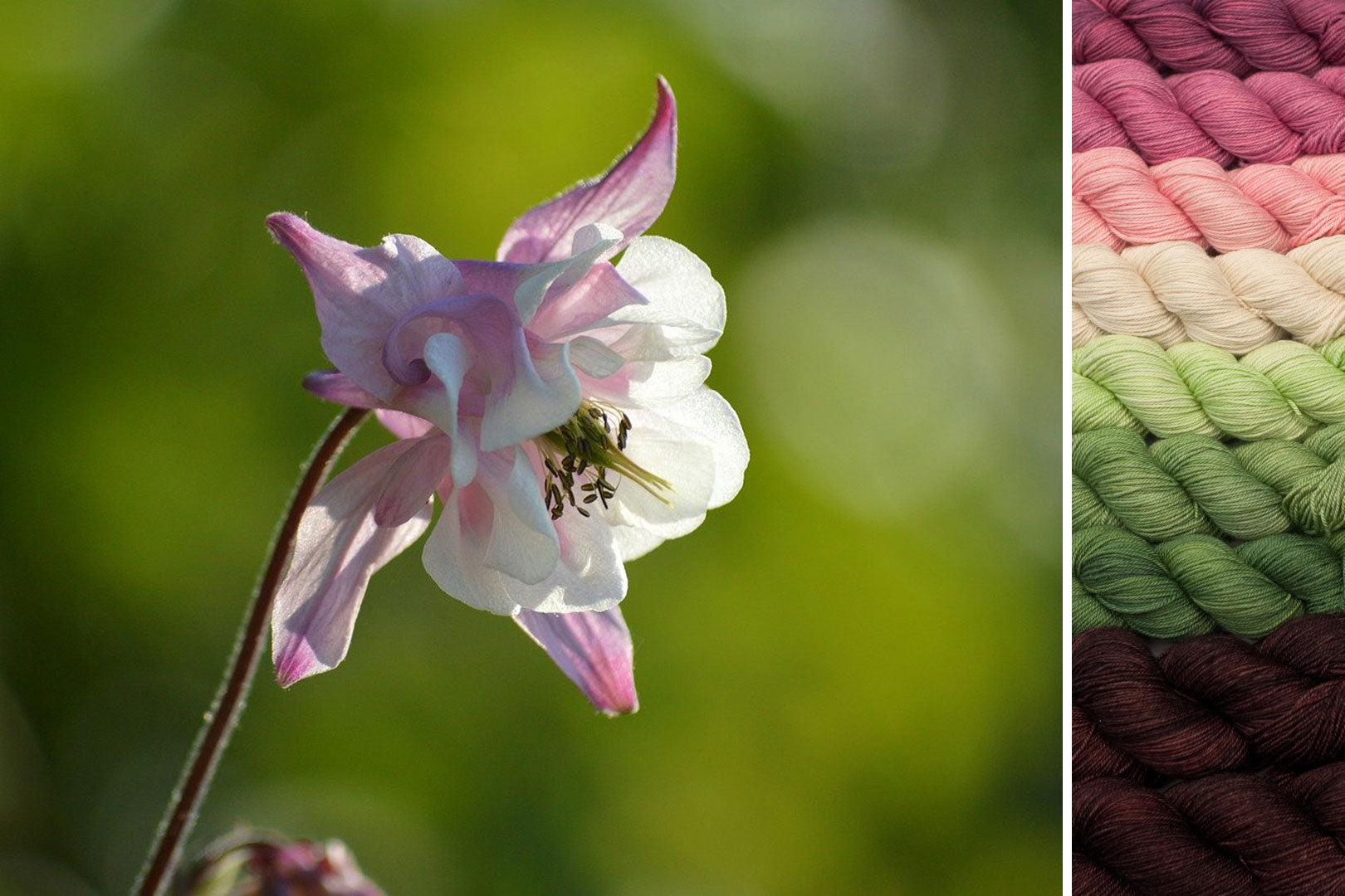 Columbine: Secret Forest MKAL Set