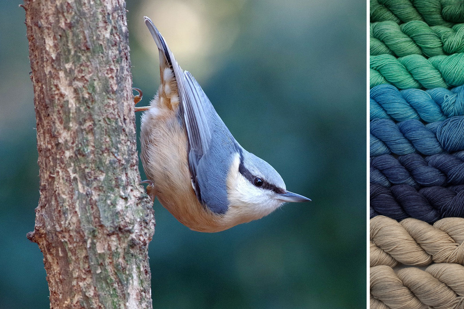 Nuthatch: Secret Forest MKAL Set