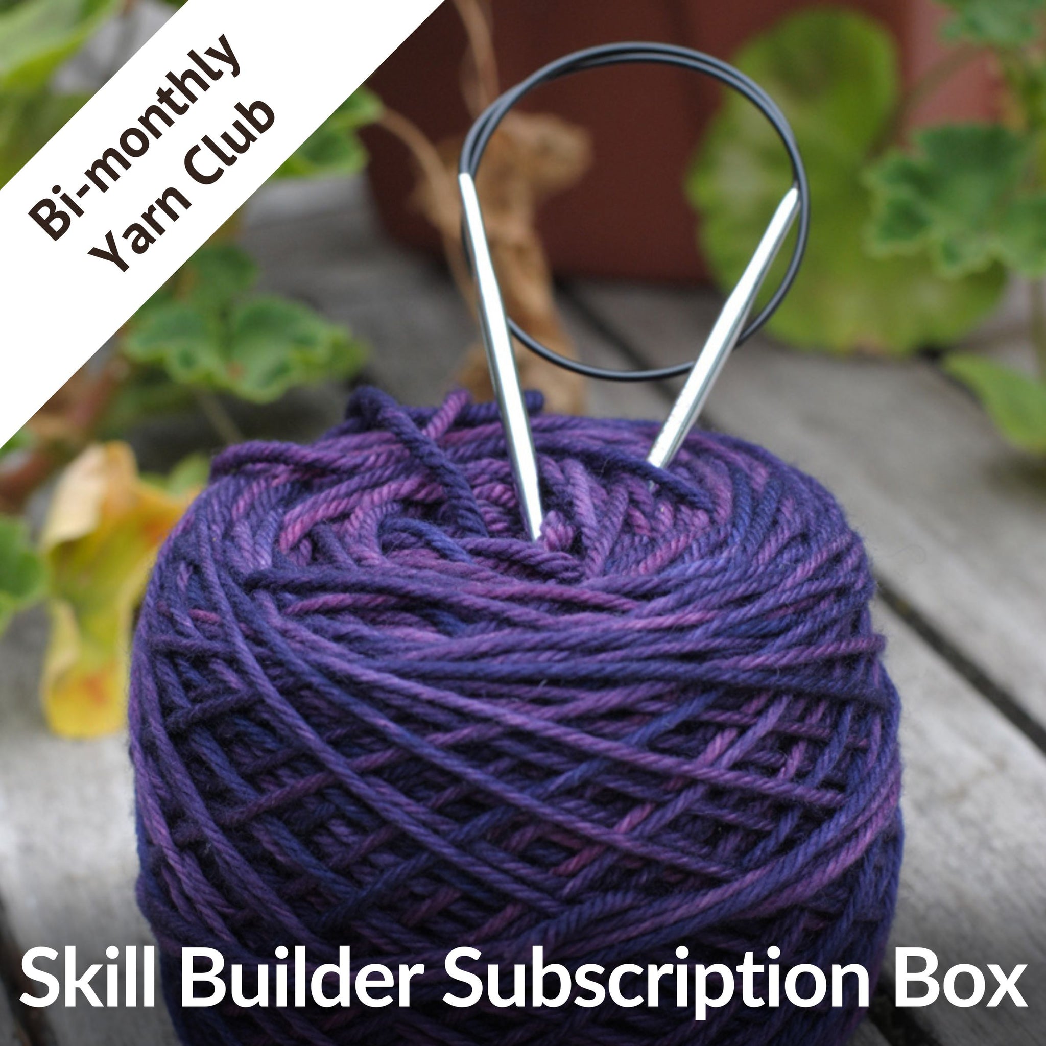 Yarn Club: Skill Builder Box subscription