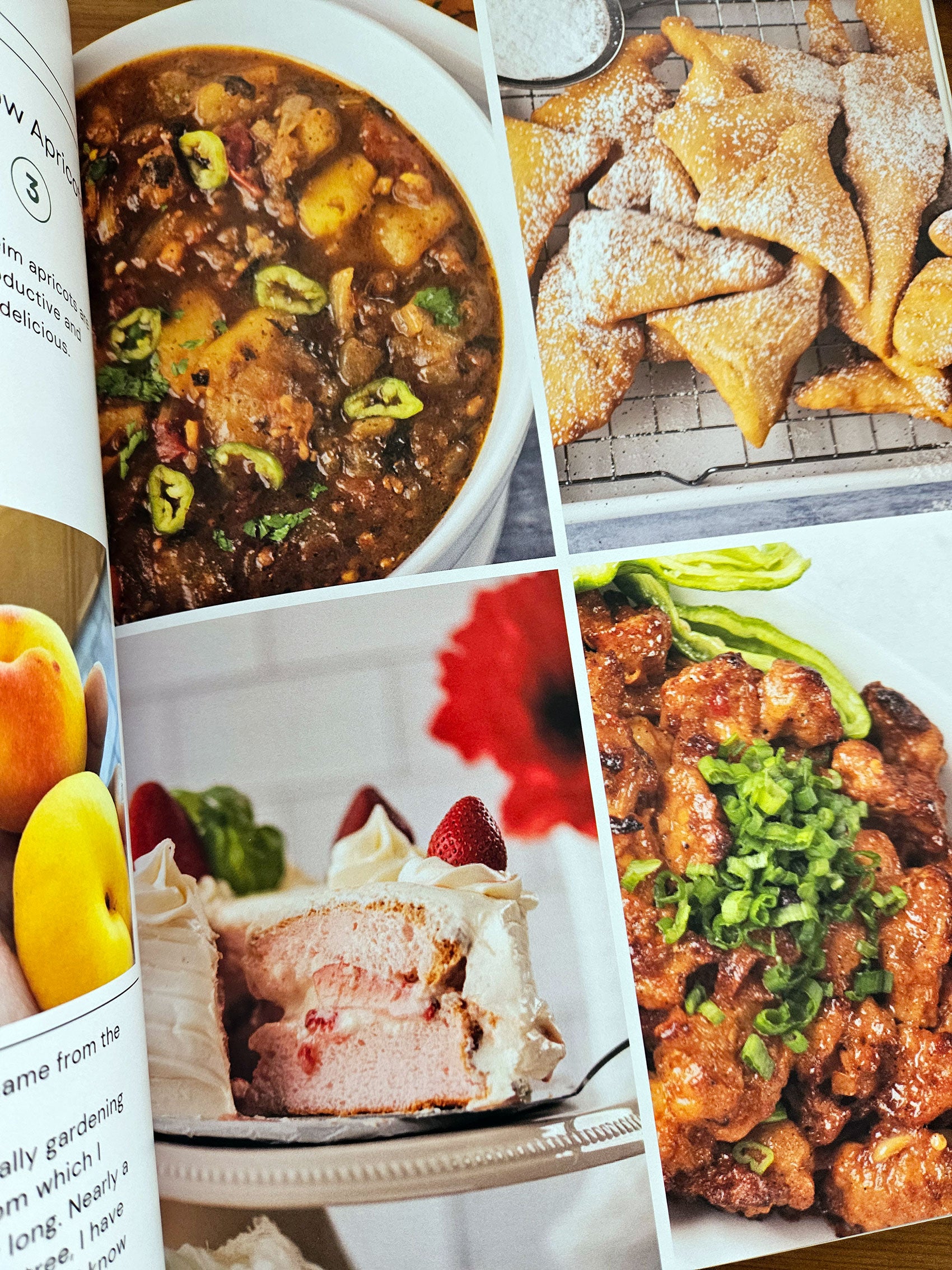 Radicle Threads - Issue 4