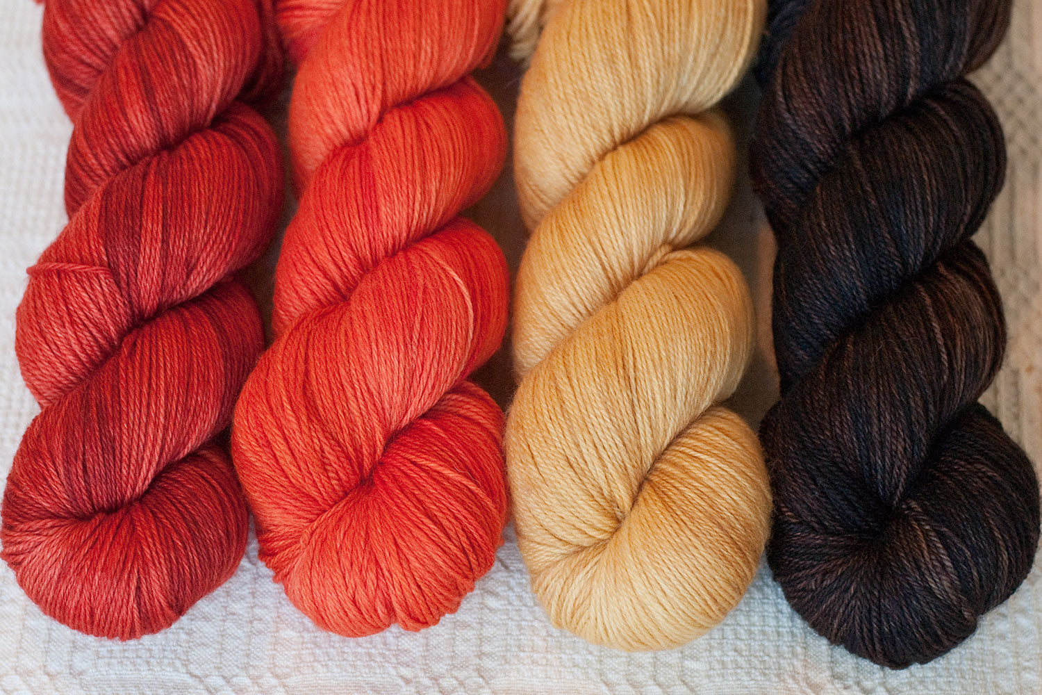 Spicy: Only Yarn in the Building MKAL Set