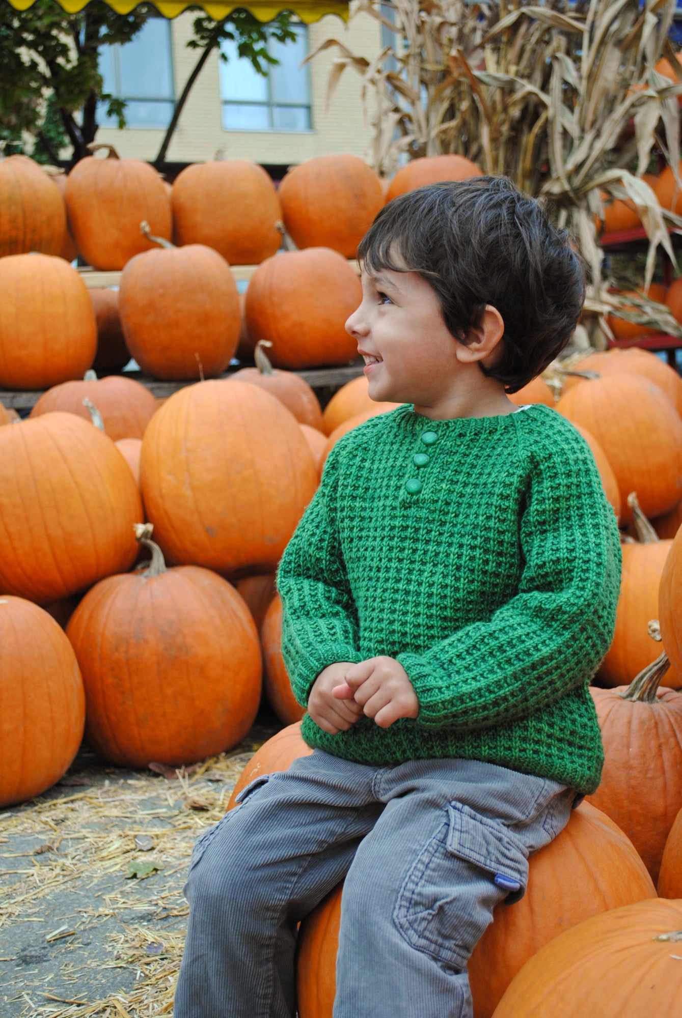 Bur Oak Raglan boy's sweater knitting pattern
