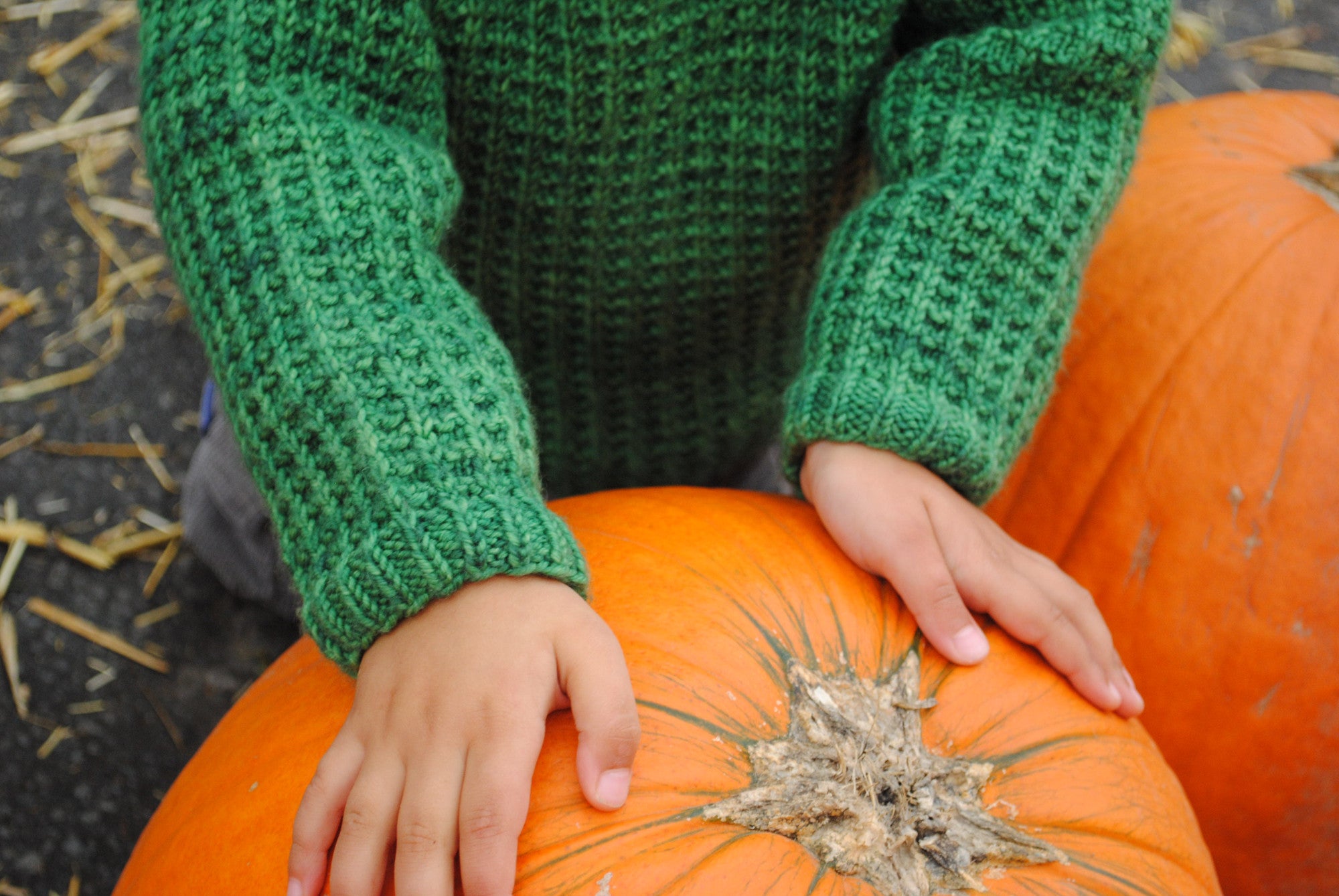 Bur Oak Raglan sleeve detail