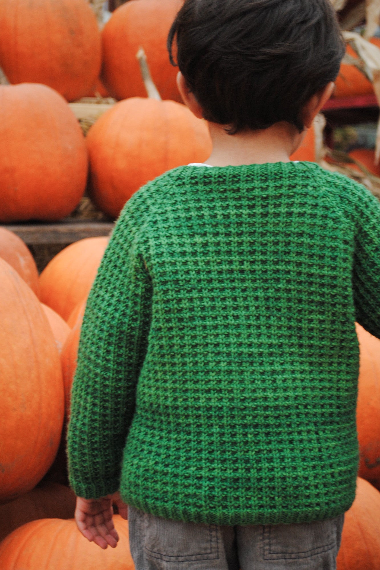 Bur Oak Raglan sweater back view