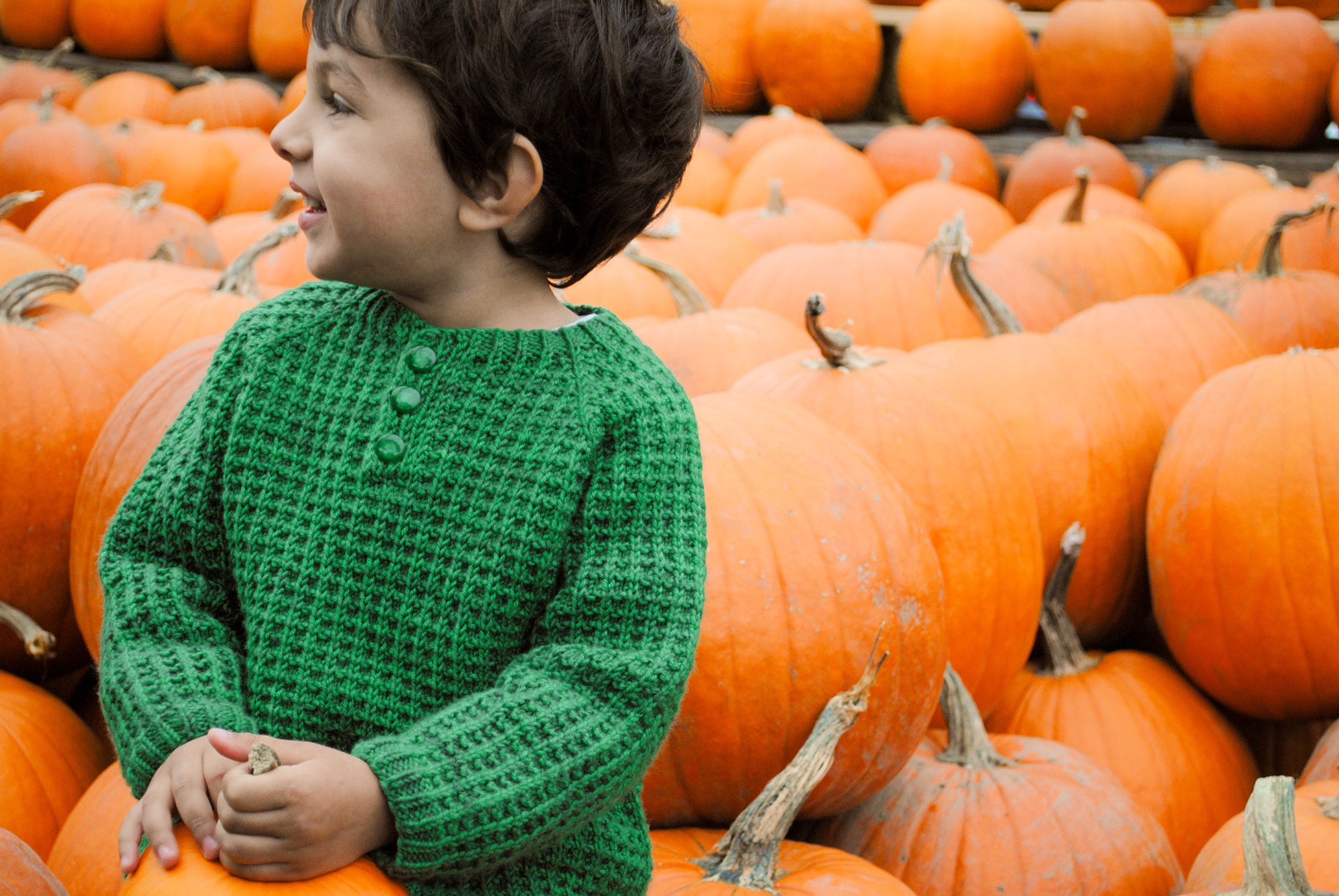 Bur Oak Raglan seamless sweater pattern