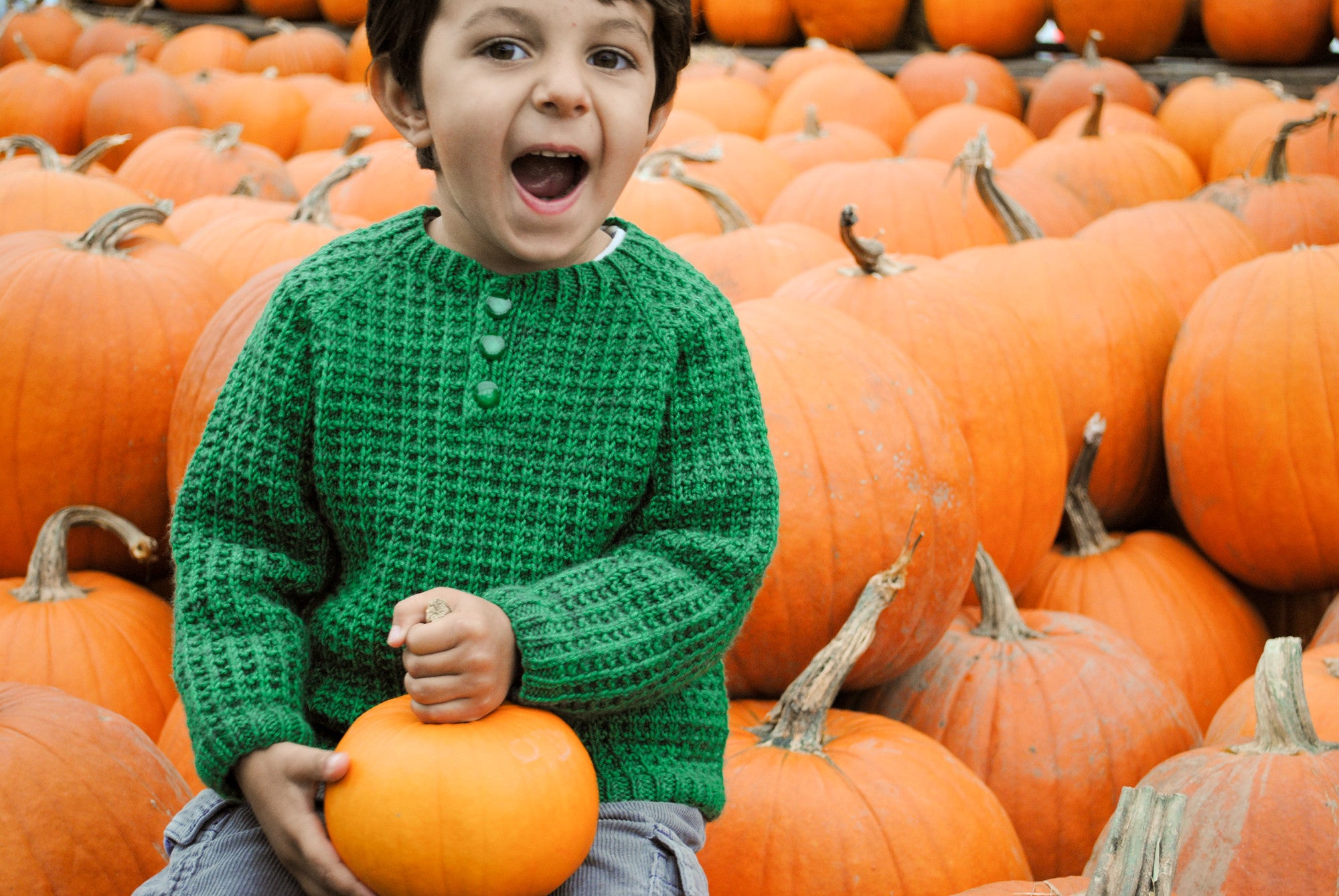 Bur Oak Raglan sweater with buttons