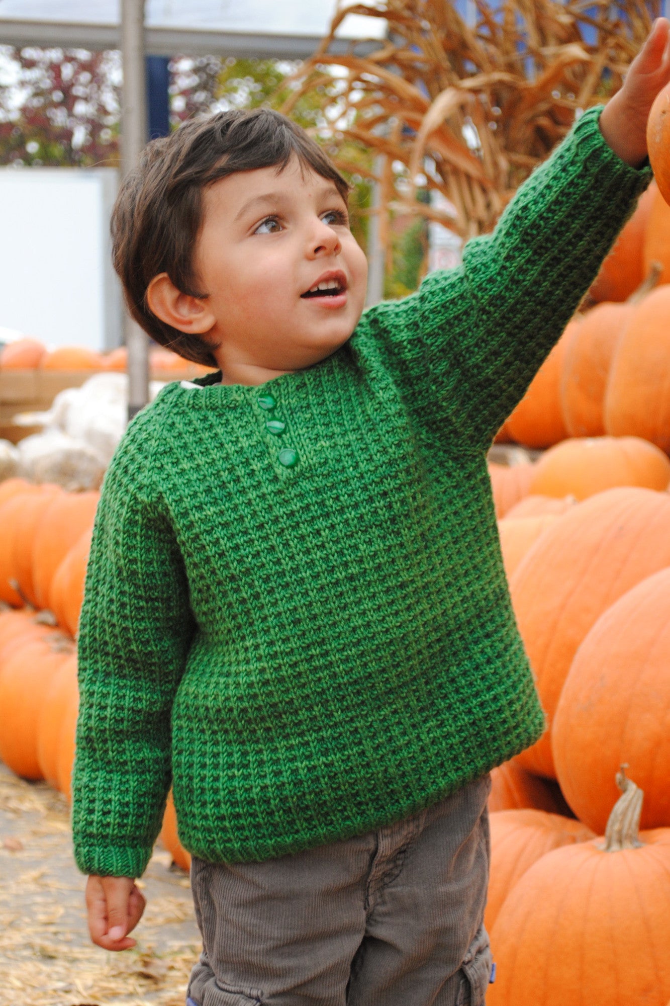 Bur Oak Raglan sweater in waffle pattern
