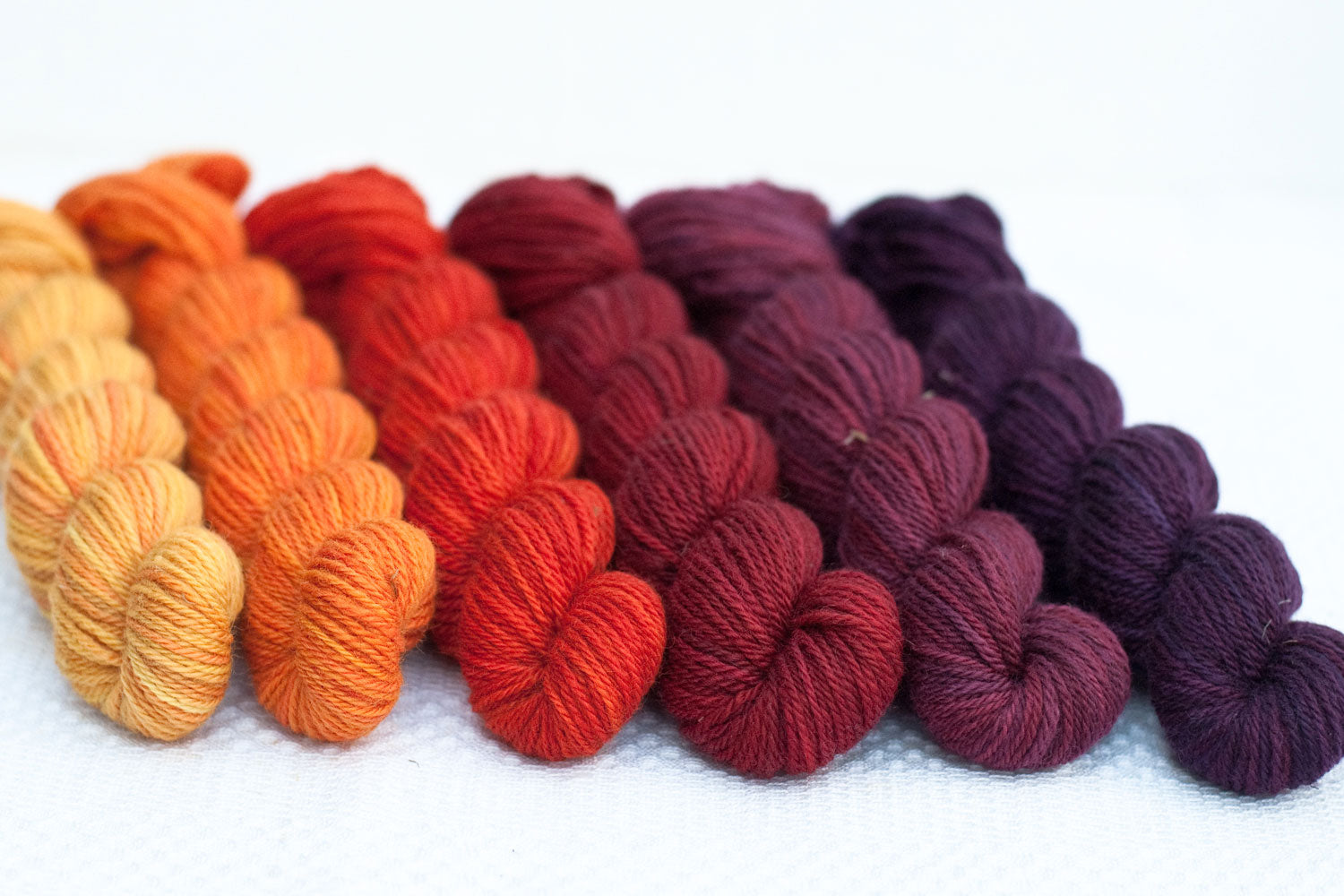 Pre-order: Elora - set of 6 mini-skeins