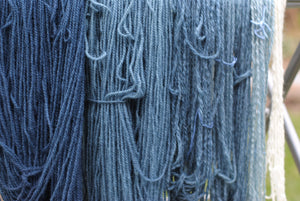 Indigo Dye Experiments