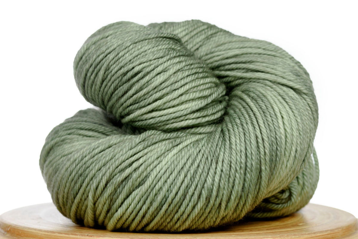 Andante hand-dyed worsted weight merino in Cardamom