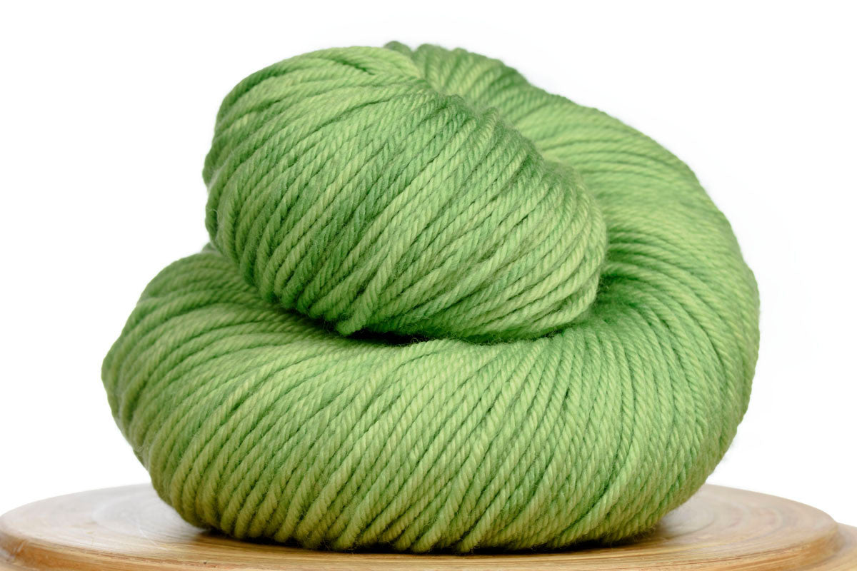 Andante hand-dyed worsted weight merino in Grasshopper