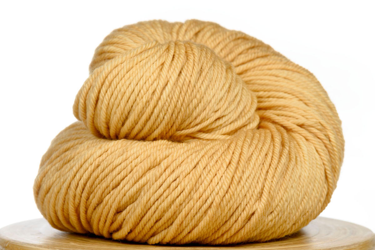 Andante hand-dyed worsted weight merino in Mango