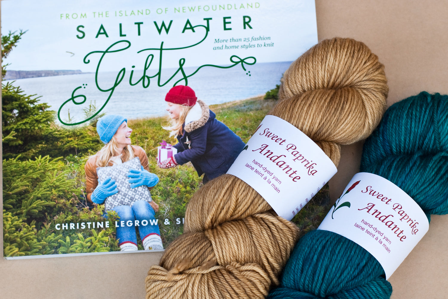 A copy of the Saltwater Gifts book with two skeins of hand-dyed yarn in a light brown and deep teal