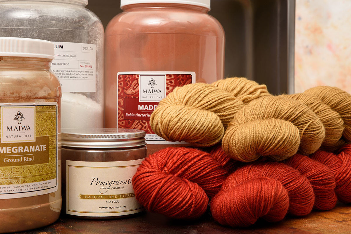 Intro to Natural Dyeing - Feb 24